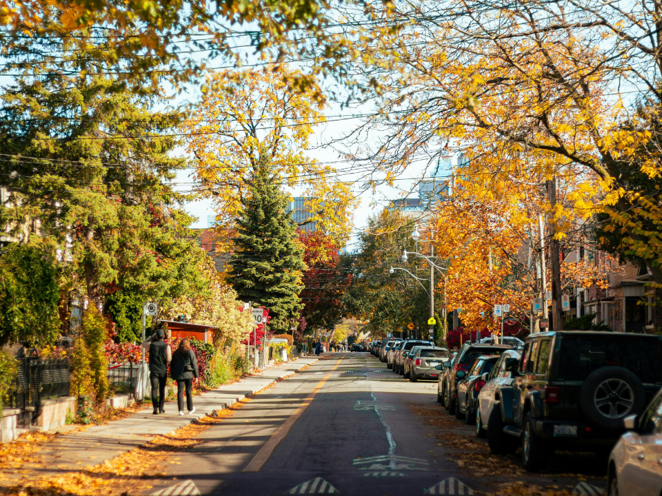 Herbstliche Straße, gesäumt von Autos und Bäumen, deren Blätter in warmen Farben leuchten.