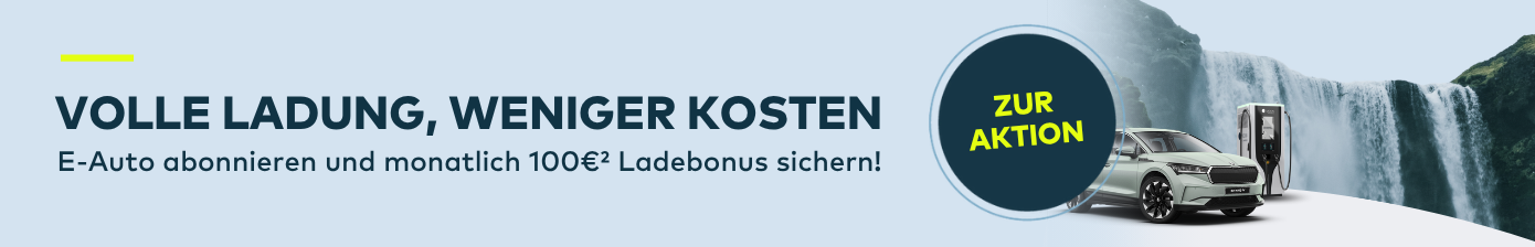 Volle Ladung, weniger kosten!