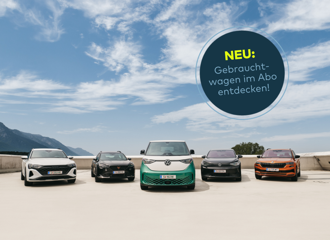 Ein Audi A5, ein Cupra Ateca, ein VW ID.Buzz und ein VW ID.5 sowie ein Skoda Karoq in verschiedenen Farben stehen nebeneinander auf einer offenen Fläche. Im Hintergrund sind Berge, Bäume und ein strahlend blauer Himmel mit weißen Wolken zu sehen.