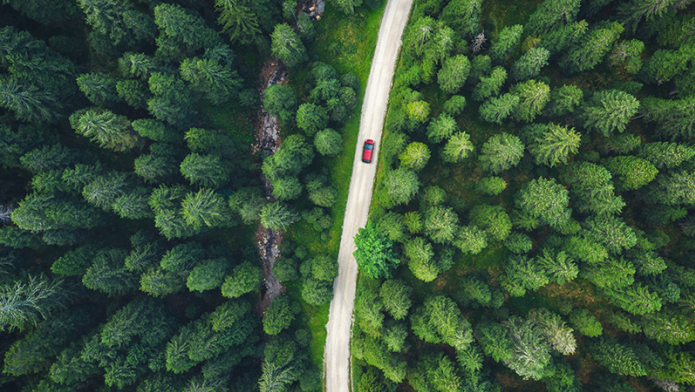 Ein rotes Auto fährt auf einer schmalen Straße durch einen dichten, grünen Wald, aufgenommen aus der Vogelperspektive.