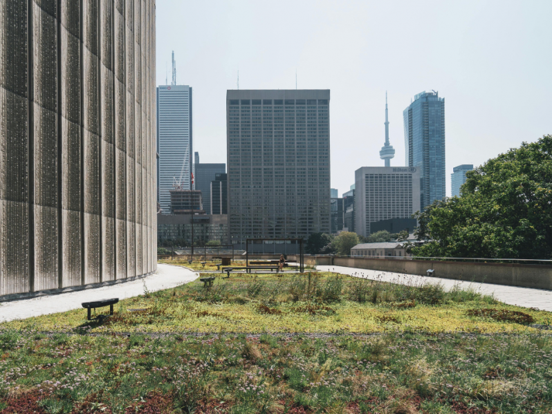 Eine grüne Dachterrasse mit Blick auf eine Stadt