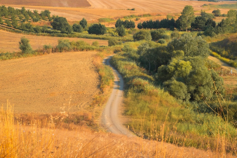 Eine kurvige Straße windet sich durch Landschaft.
